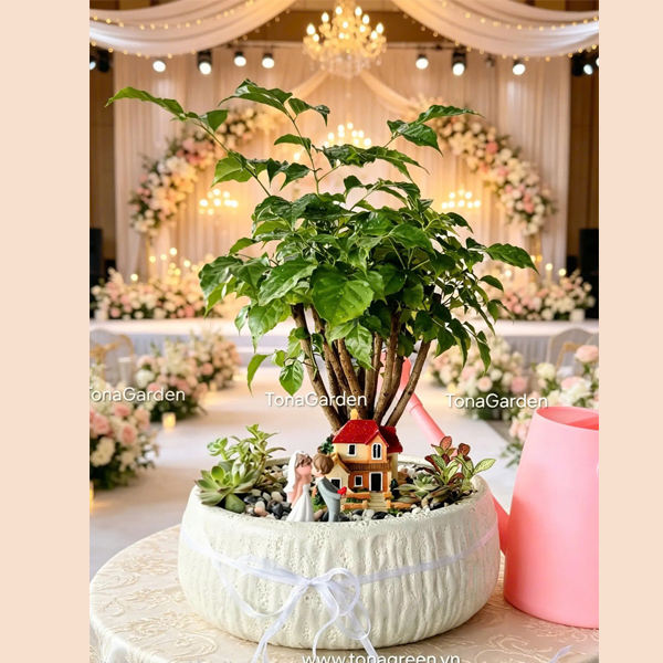 Cây Hạnh Phúc Nghi Thức Tưới Cây Tiệc Cưới