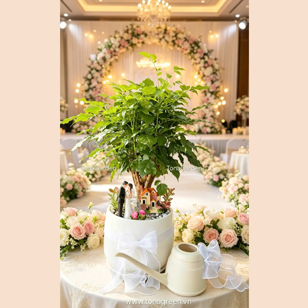 Cây hạnh phúc nghi thức đám cưới